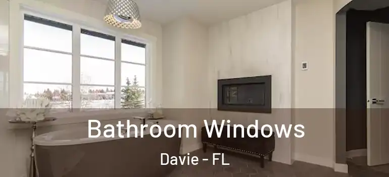  Bathroom Windows Davie - FL