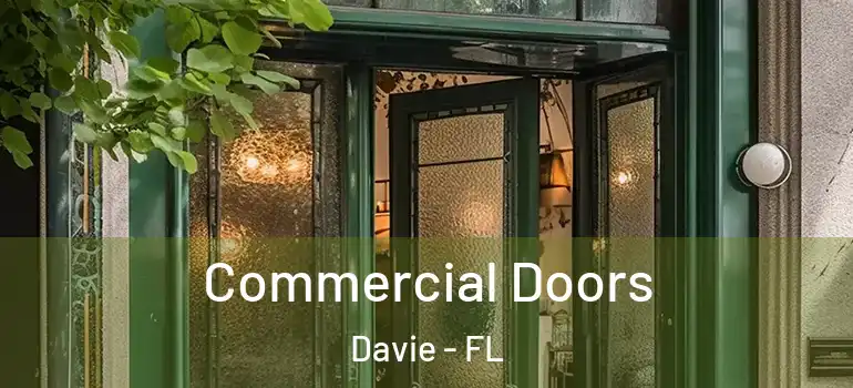  Commercial Doors Davie - FL