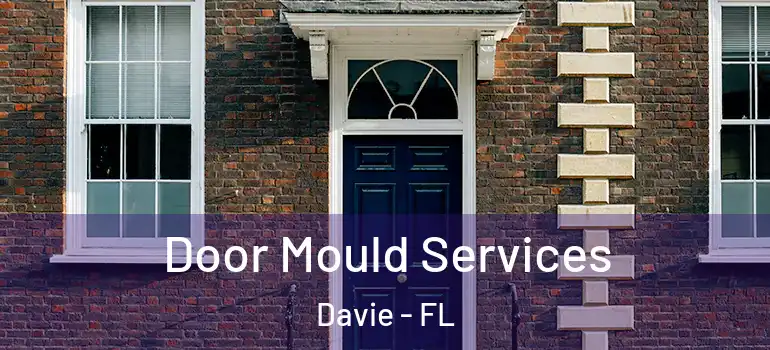  Door Mould Services Davie - FL