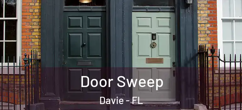  Door Sweep Davie - FL