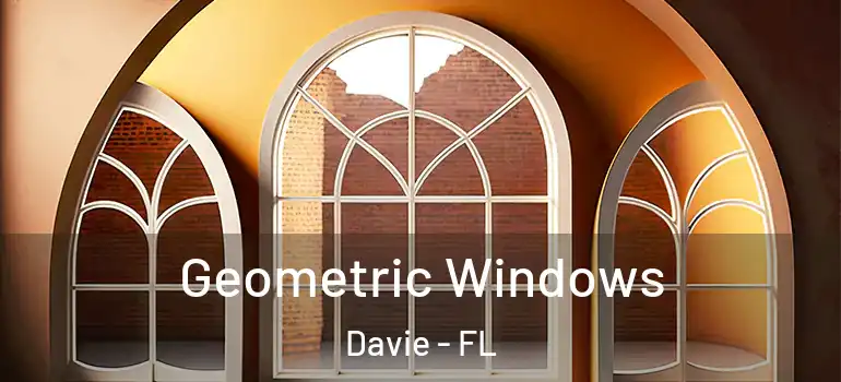  Geometric Windows Davie - FL