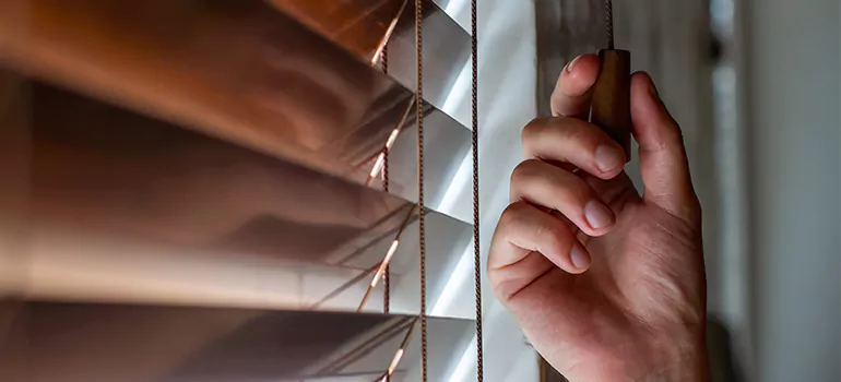 Double Roller Blinds in Davie, FL