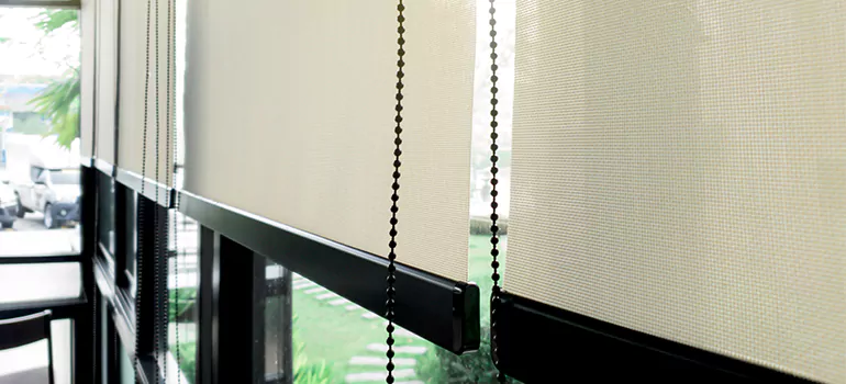 Blackout Window Shades in Davie, FL
