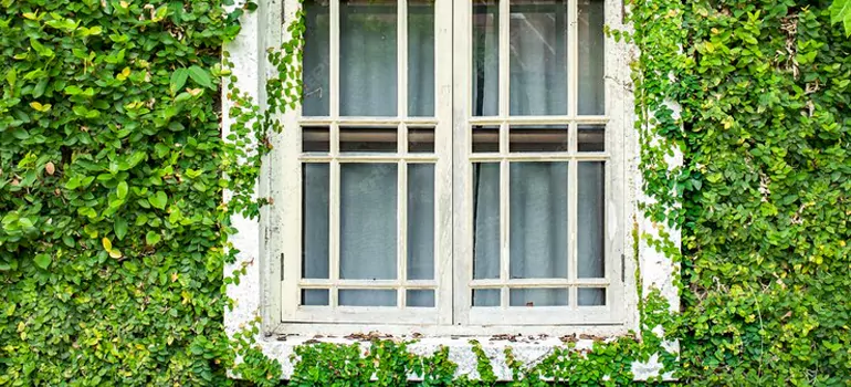 Garden Window Repair Near Me in Davie, FL