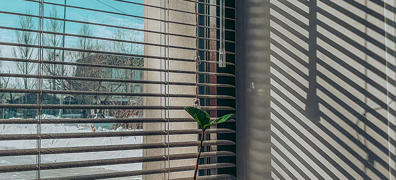 Commercial Window Blinds in Davie, FL