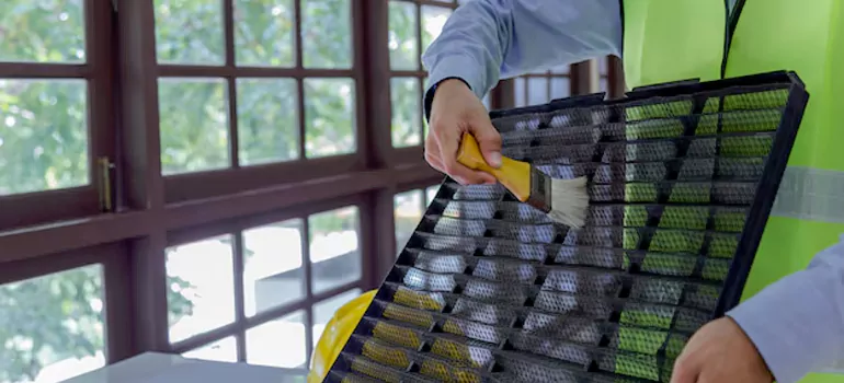 Traditional Window Grille Installation Options in Davie, FL