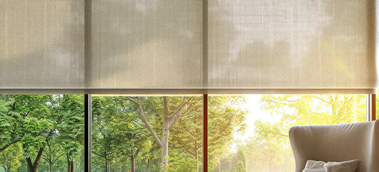 Custom Window Shades in Davie, FL