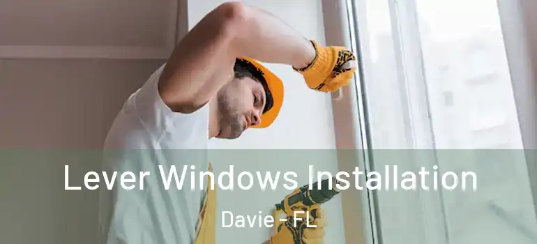  Lever Windows Installation Davie - FL