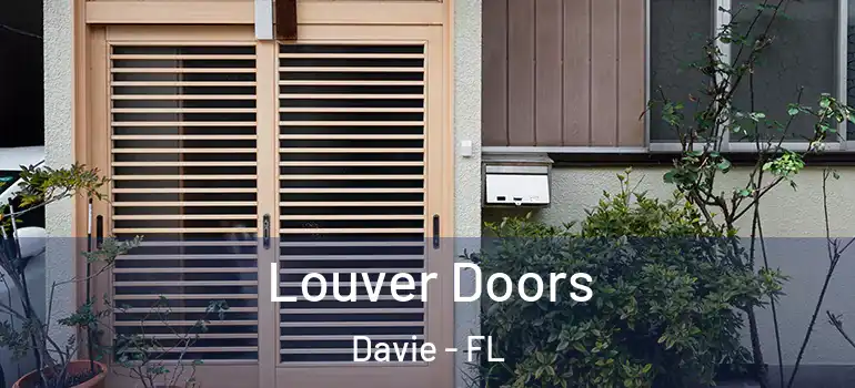  Louver Doors Davie - FL
