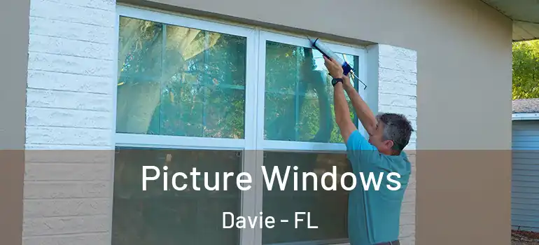  Picture Windows Davie - FL