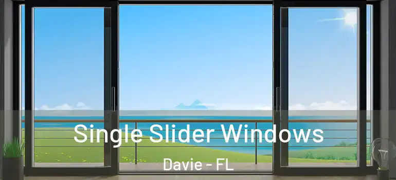  Single Slider Windows Davie - FL