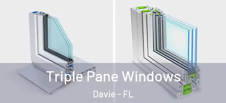  Triple Pane Windows Davie - FL