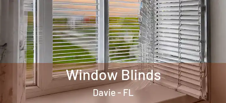  Window Blinds Davie - FL