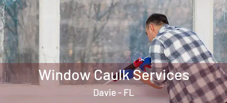  Window Caulk Services Davie - FL