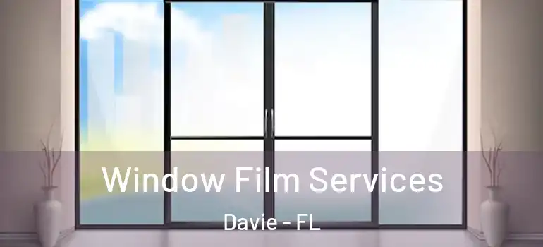  Window Film Services Davie - FL