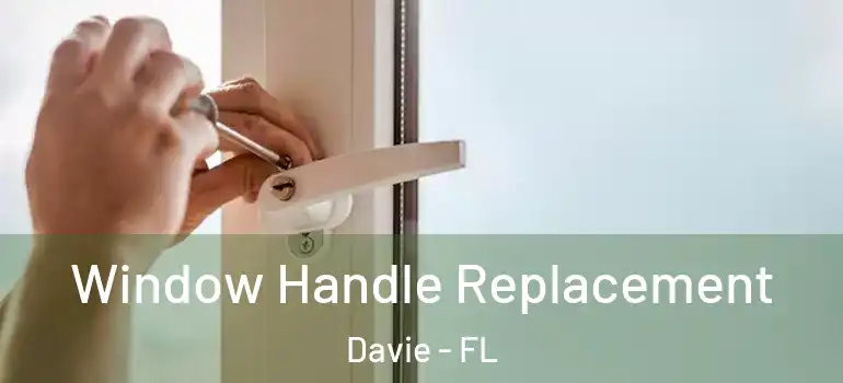  Window Handle Replacement Davie - FL