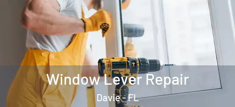  Window Lever Repair Davie - FL