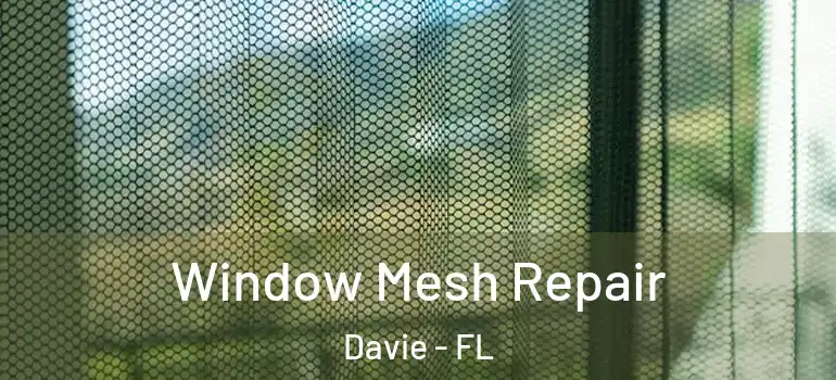  Window Mesh Repair Davie - FL