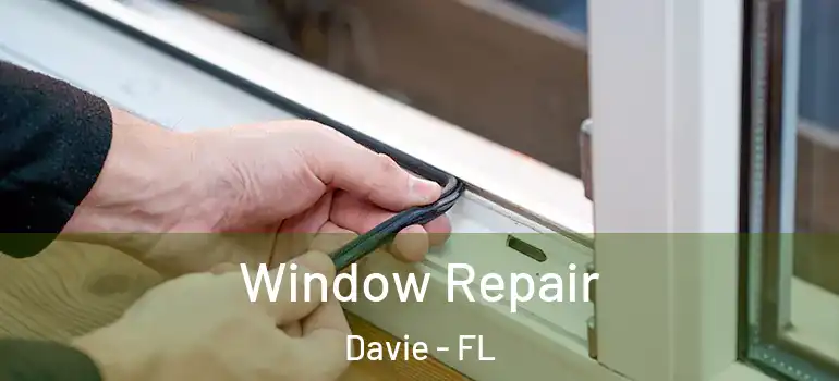  Window Repair Davie - FL