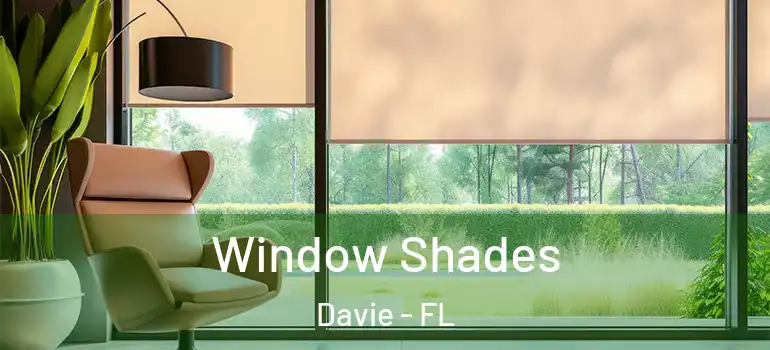 Window Shades Davie - FL