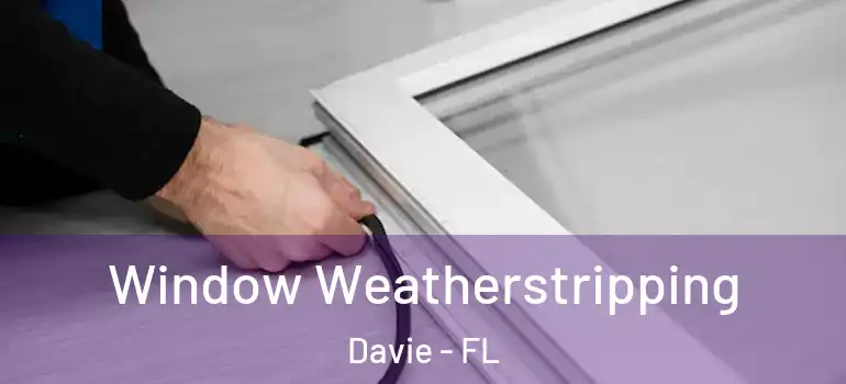  Window Weatherstripping Davie - FL