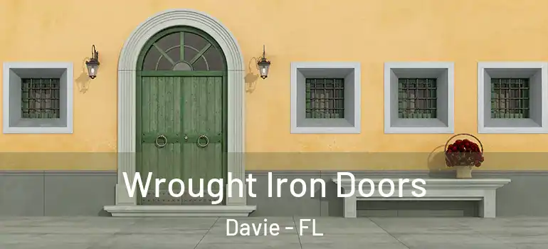  Wrought Iron Doors Davie - FL